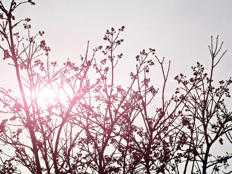 sudoku number pad screenshot 5